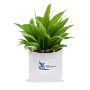 PP Planter Bags